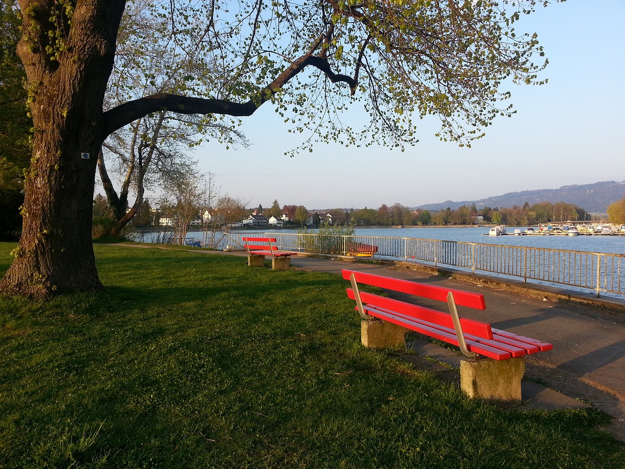 团队凝聚力 团队凝聚力